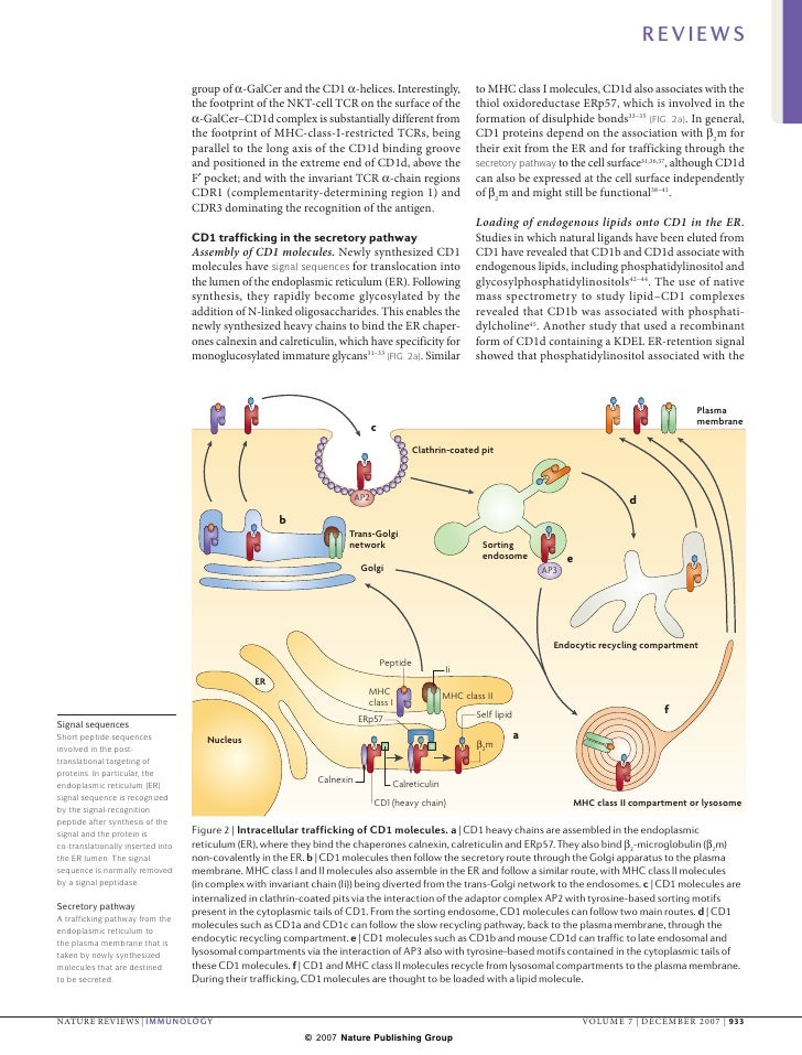 Nature Reviews Cell Junction Nature Reviews Cell Junction
