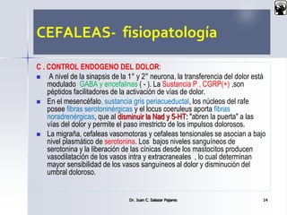CEFALEAS- fisiopatología
C . CONTROL ENDOGENO DEL DOLOR:
 A nivel de la sinapsis de la 1° y 2° neurona, la transferencia del dolor está
modulado GABA y encefalinas ( - ). La Sustancia P , CGRP(+) ,son
péptidos facilitadores de la activación de vías de dolor.
 En el mesencéfalo, sustancia gris periacueductal, los núcleos del rafe
posee fibras serotoninérgicas y el locus coeruleus aporta fibras
noradrenérgicas, que al disminuir la Nad y 5-HT: "abren la puerta" a las
vías del dolor y permite el paso irrestricto de los impulsos dolorosos.
 La migraña, cefaleas vasomotoras y cefaleas tensionales se asocian a bajo
nivel plasmático de serotonina. Los bajos niveles sanguíneos de
serotonina y la liberación de las cínicas desde los mastocitos producen
vasodilatación de los vasos intra y extracraneales , lo cual determinan
mayor sensibilidad de los vasos sanguíneos al dolor y disminución del
umbral doloroso.
Dr. Juan C. Salazar Pajares 14
 