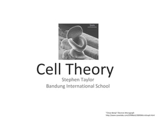 4 cell-theory-