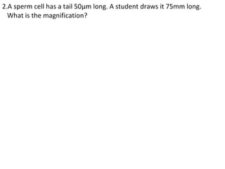 4 cell-theory-