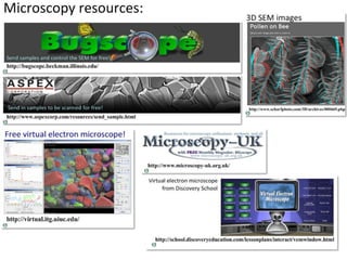 4 cell-theory-