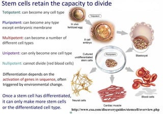 4 cell-theory-