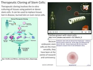 4 cell-theory-