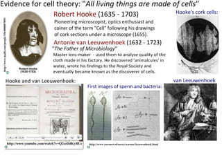 4 cell-theory-