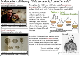4 cell-theory-