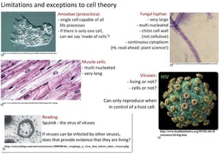 4 cell-theory-