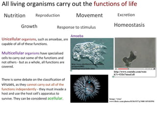 4 cell-theory-