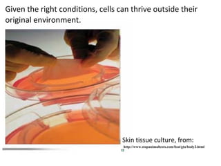 4 cell-theory-