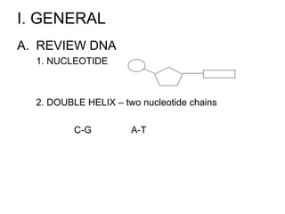 I. GENERAL
A. REVIEW DNA
  1. NUCLEOTIDE



  2. DOUBLE HELIX – two nucleotide chains

          C-G         A-T
 