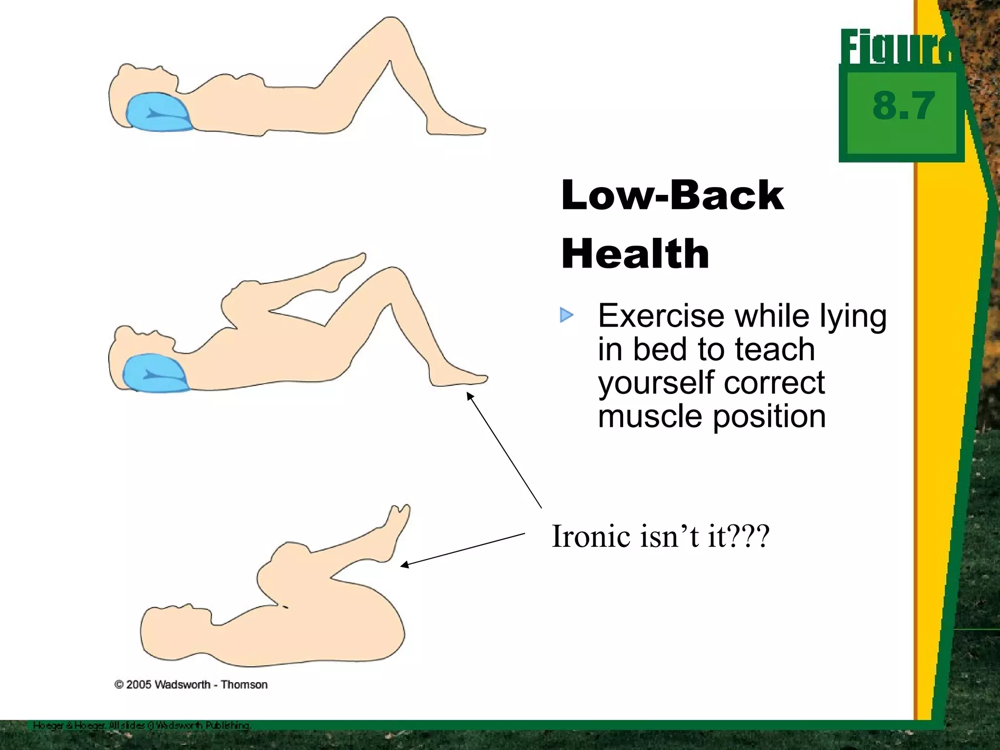 Exercise while lying in bed to teach yourself correct muscle position Low-Back Health 8.7 Ironic isn’t it??? 