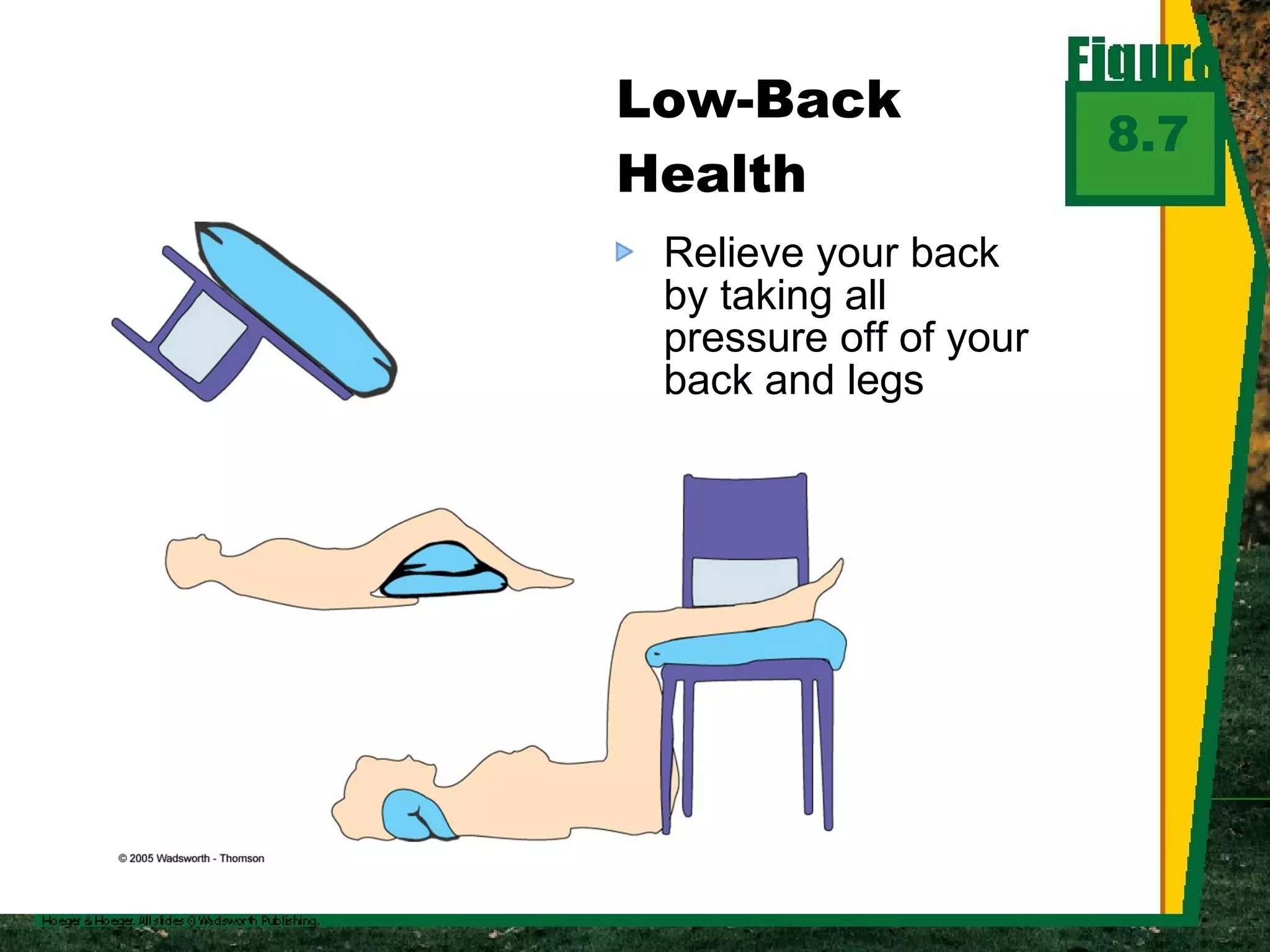 Relieve your back by taking all pressure off of your back and legs Low-Back Health 8.7 