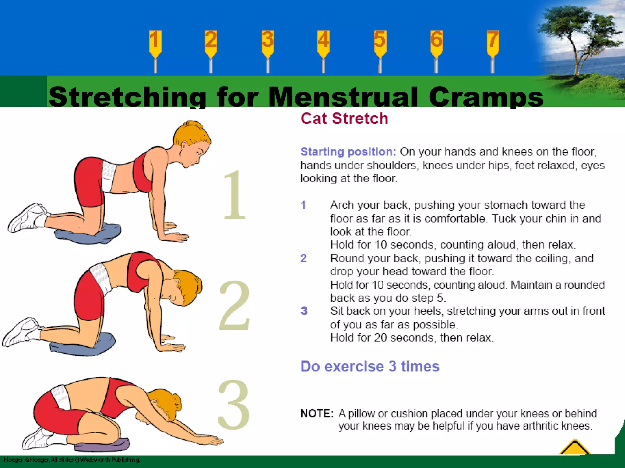 Stretching for Menstrual Cramps 