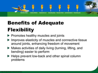 Benefits of Adequate Flexibility Promotes healthy muscles and joints Improves elasticity of muscles and connective tissue around joints, enhancing freedom of movement Makes activities of daily living (turning, lifting, and bending) easier to perform Helps prevent low-back and other spinal column problems Benefits of Good Flexibility Factors Affecting Flexibility Assessment of Flexibility Evaluating Body Posture Muscular Flexibility Prescription Contraindicated Exercises Preventing and Rehabilitating Low-Back Pain 