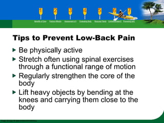 Tips to Prevent Low-Back Pain Be physically active Stretch often using spinal exercises through a functional range of motion Regularly strengthen the core of the body  Lift heavy objects by bending at the knees and carrying them close to the body Benefits of Good Flexibility Factors Affecting Flexibility Assessment of Flexibility Evaluating Body Posture Muscular Flexibility Prescription Contraindicated Exercises Preventing and Rehabilitating Low-Back Pain 