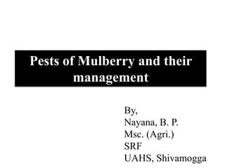 Pests of Mulberry and their
management
By,
Nayana, B. P.
Msc. (Agri.)
SRF
UAHS, Shivamogga
 