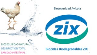 Biocidas Biodegradables ZIX
Bioseguridad Avícola
BIOSEGURIDAD NATURAL
DESINFECTION TOTAL
SANIDAD INTESTINAL 1
 