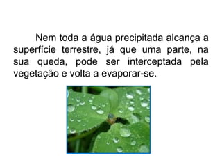 Nem toda a água precipitada alcança a
superfície terrestre, já que uma parte, na
sua queda, pode ser interceptada pela
vegetação e volta a evaporar-se.
 