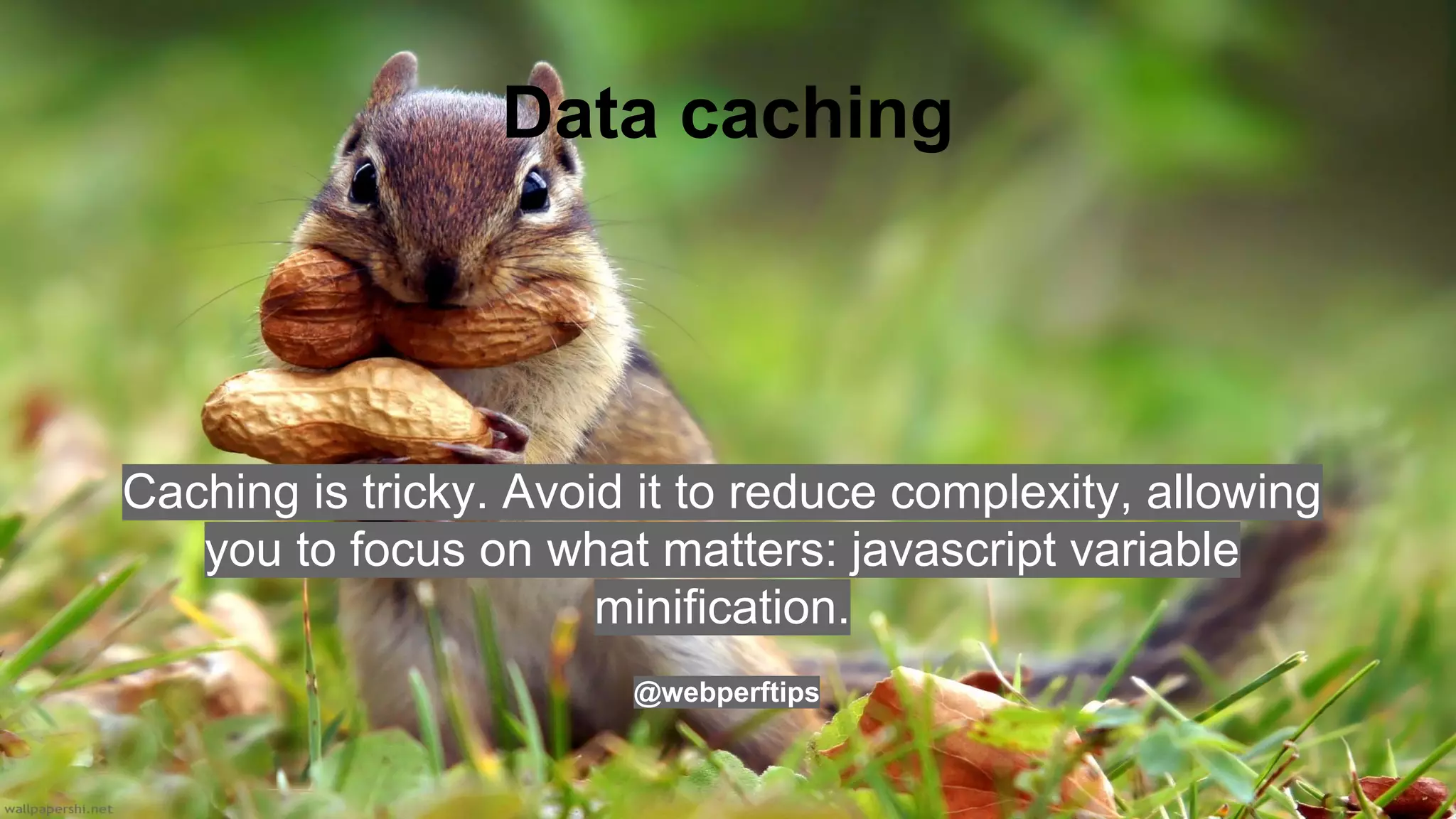 Data caching
Caching is tricky. Avoid it to reduce complexity, allowing
you to focus on what matters: javascript variable
minification.
@webperftips
 