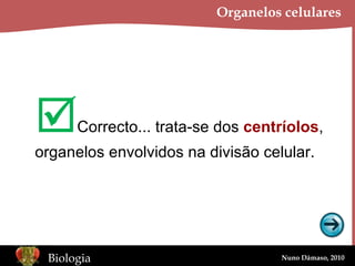 Organelos celulares  Correcto... trata-se dos  centríolos , organelos envolvidos na divisão celular. 