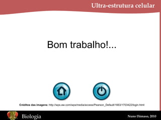 Ultra-estrutura celular Bom trabalho!... Créditos das imagens:  http://wps.aw.com/wps/media/access/Pearson_Default/1663/1703422/login.html 
