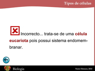 Tipos de células  Incorrecto... trata-se de uma  célula eucariota  pois possui sistema endomem- branar. 