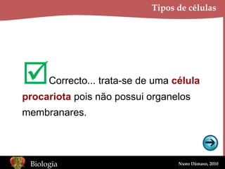 Tipos de células  Correcto... trata-se de uma  célula procariota  pois não possui organelos membranares. 