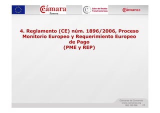 4. Reglamento (CE) núm. 1896/2006, Proceso
 Monitorio Europeo y Requerimiento Europeo
                  de Pago
          ...