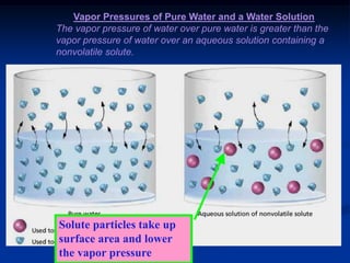 Vapor Pressures of Pure Water and a Water Solution
The vapor pressure of water over pure water is greater than the
vapor pressure of water over an aqueous solution containing a
nonvolatile solute.
Solute particles take up
surface area and lower
the vapor pressure
 