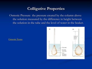 Colligative Properties
Osmotic Pressure the pressure created by the column above
the solution measured by the difference in height between
the solution in the tube and the level of water in the beaker.
Osmotic Terms
 