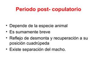 Periodo post- copulatorio

• Depende de la especie animal
• Es sumamente breve
• Reflejo de desmonta y recuperación a su
  posición cuadrúpeda
• Existe separación del macho.
 
