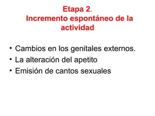 Etapa 2.
    Incremento espontáneo de la
            actividad

• Cambios en los genitales externos.
• La alteración del apetito
• Emisión de cantos sexuales
 
