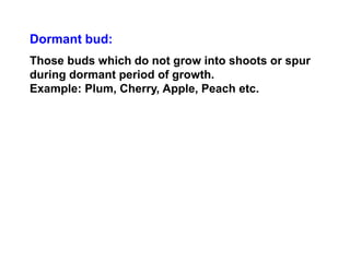4-Concept of fruit bud formation.ppt