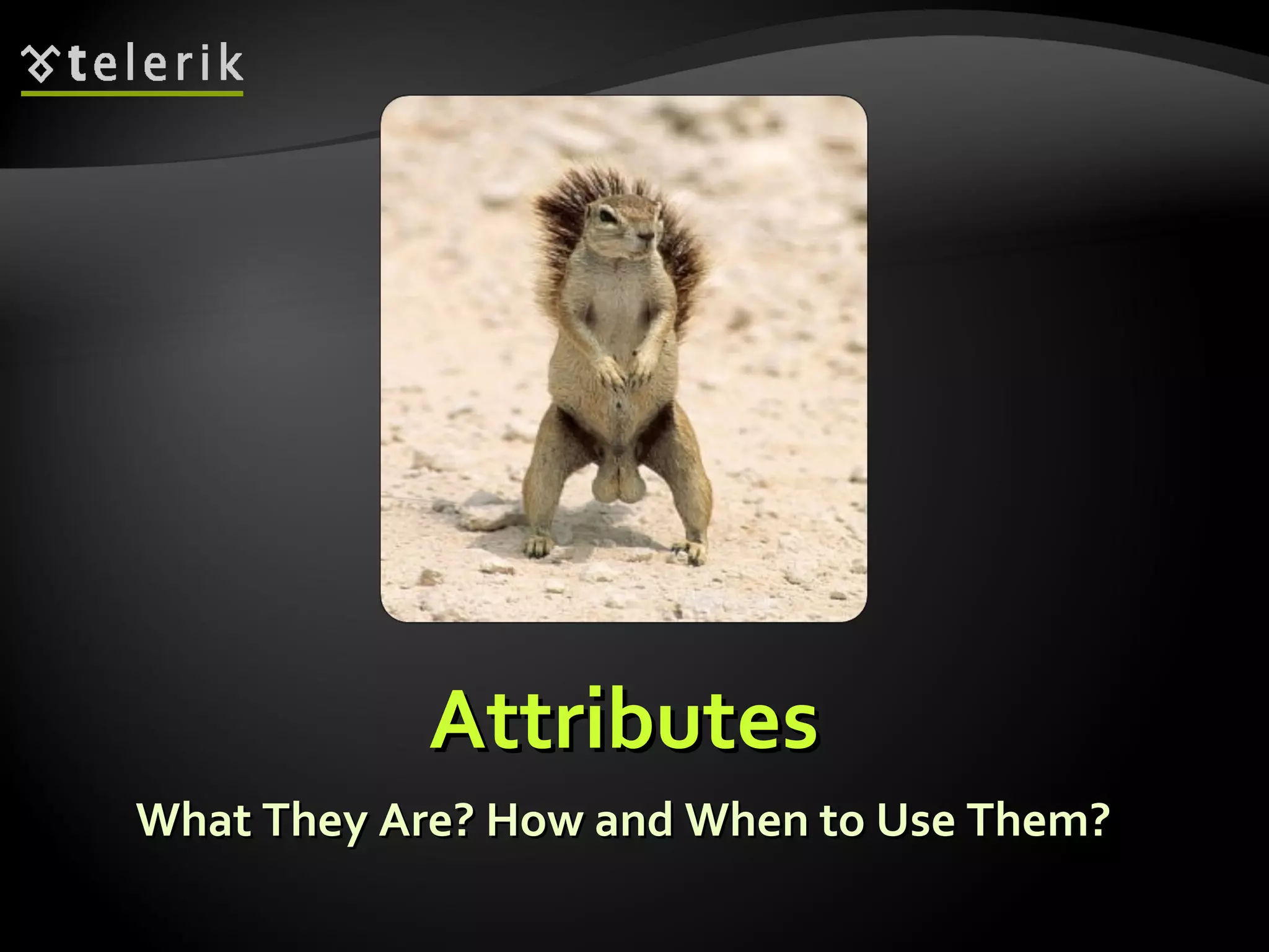 Attributes What They Are? How and When to Use Them? 