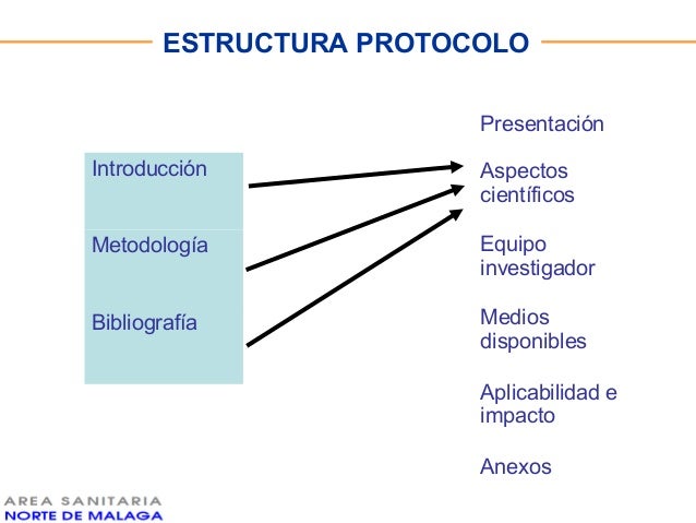 4.Curso De Investigacion. Estructura Del Protocolo