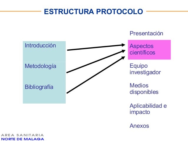 4.Curso De Investigacion. Estructura Del Protocolo