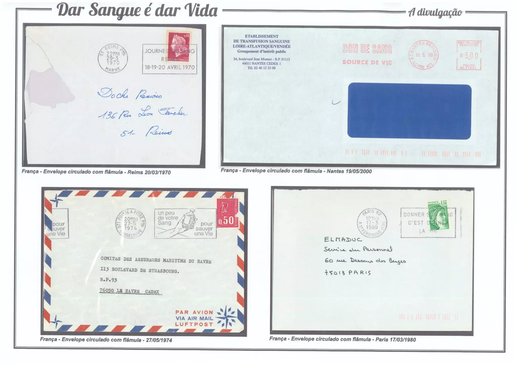 4 - Dar Sangue é dar Vida (A divulgação)