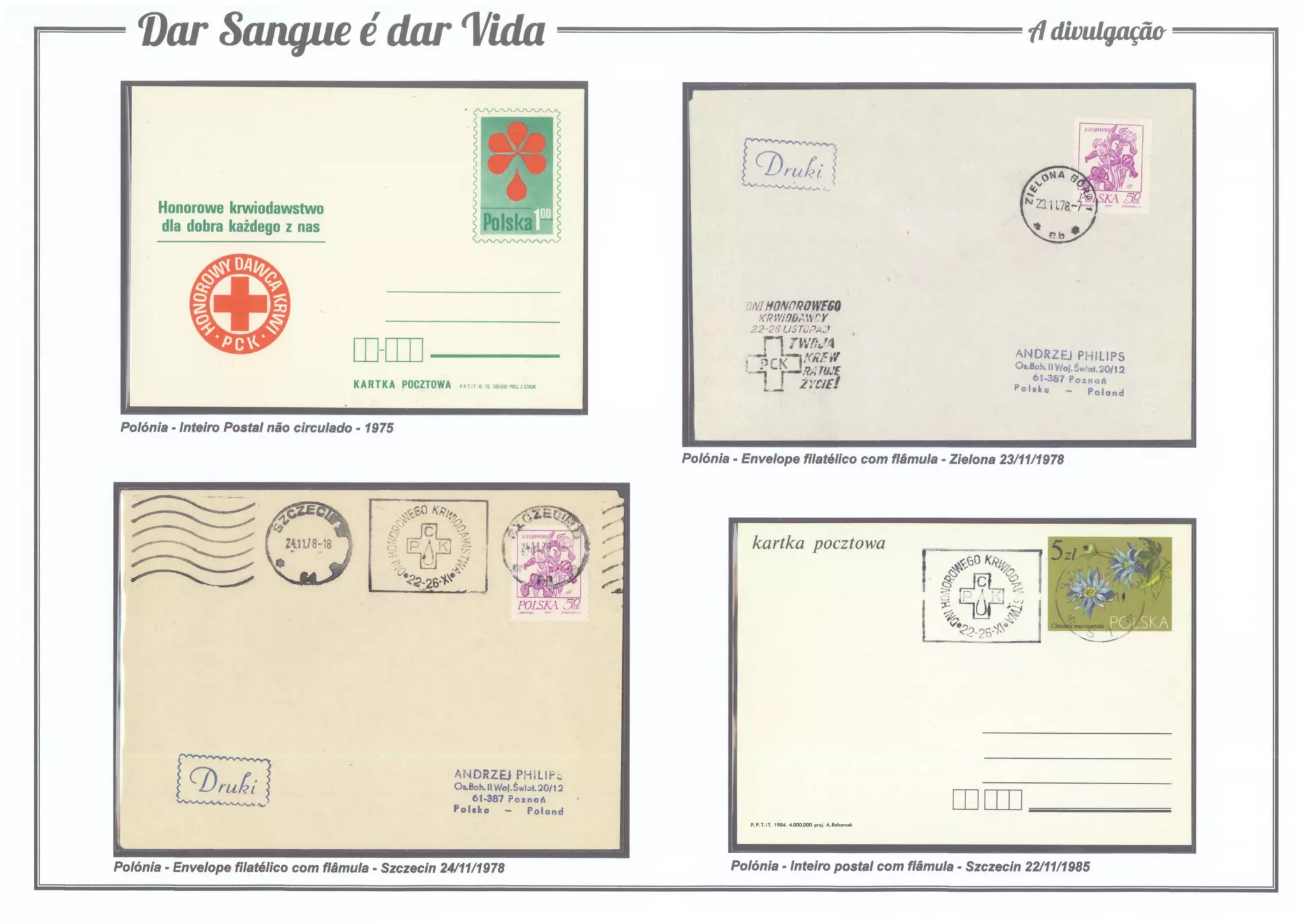 4 - Dar Sangue é dar Vida (A divulgação)