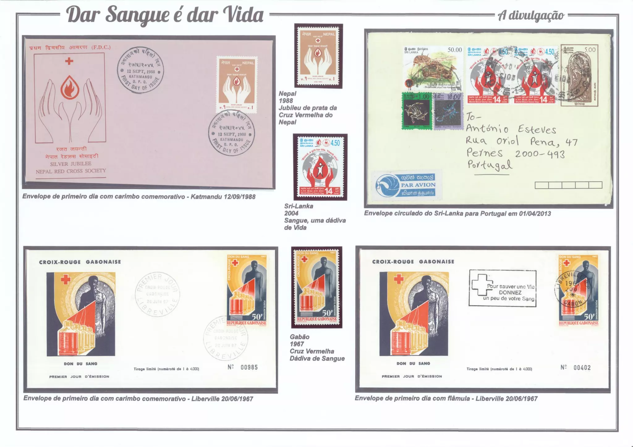 4 - Dar Sangue é dar Vida (A divulgação)