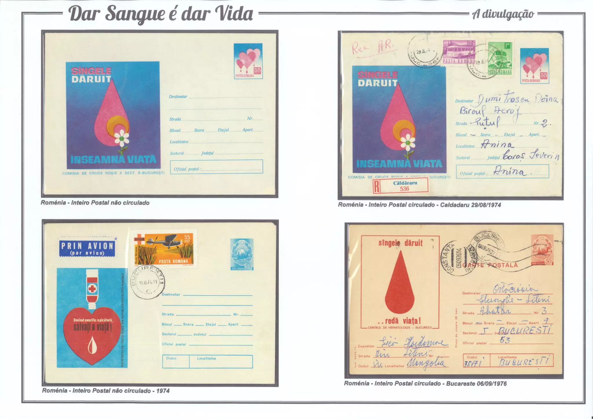 4 - Dar Sangue é dar Vida (A divulgação)