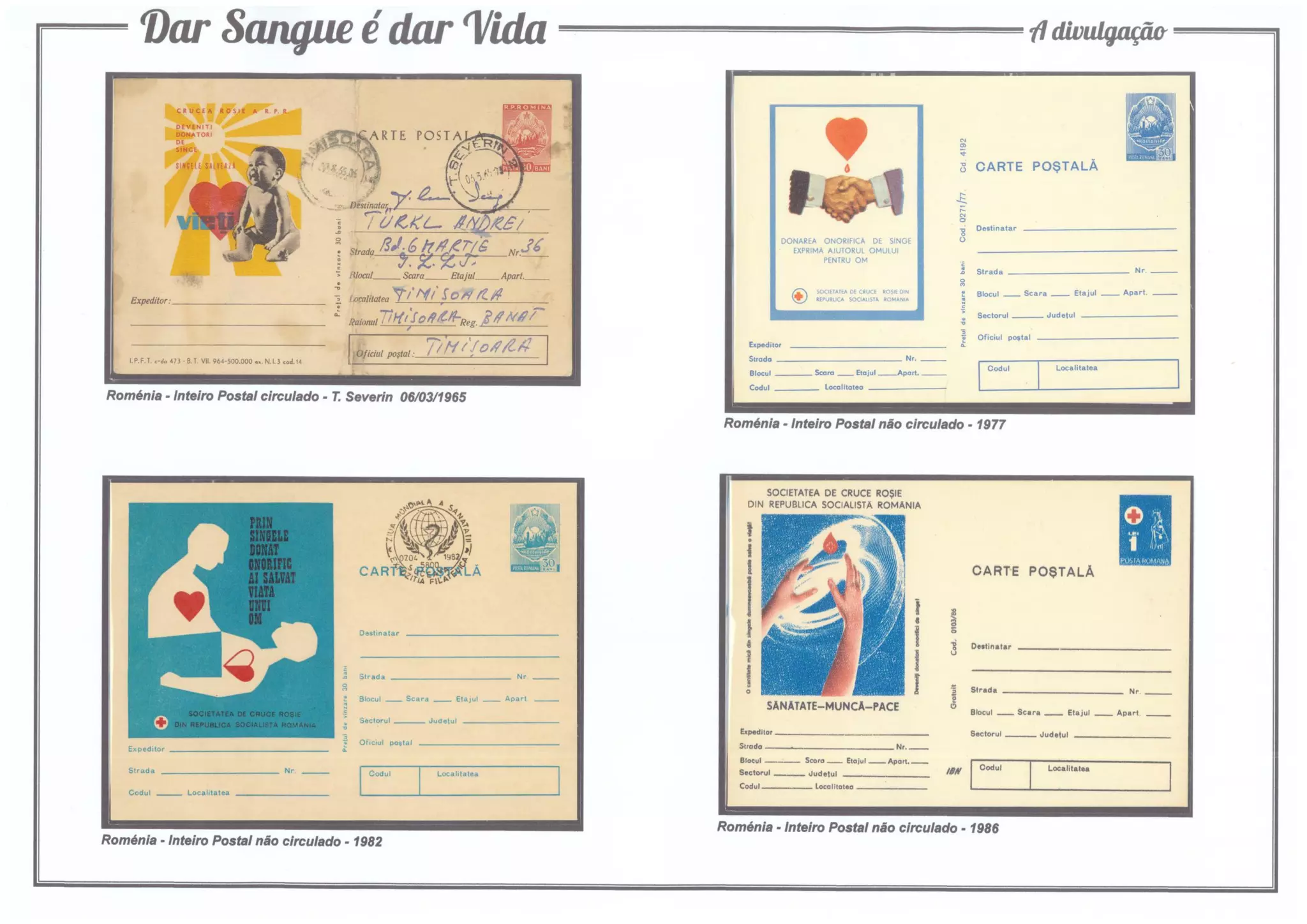 4 - Dar Sangue é dar Vida (A divulgação)