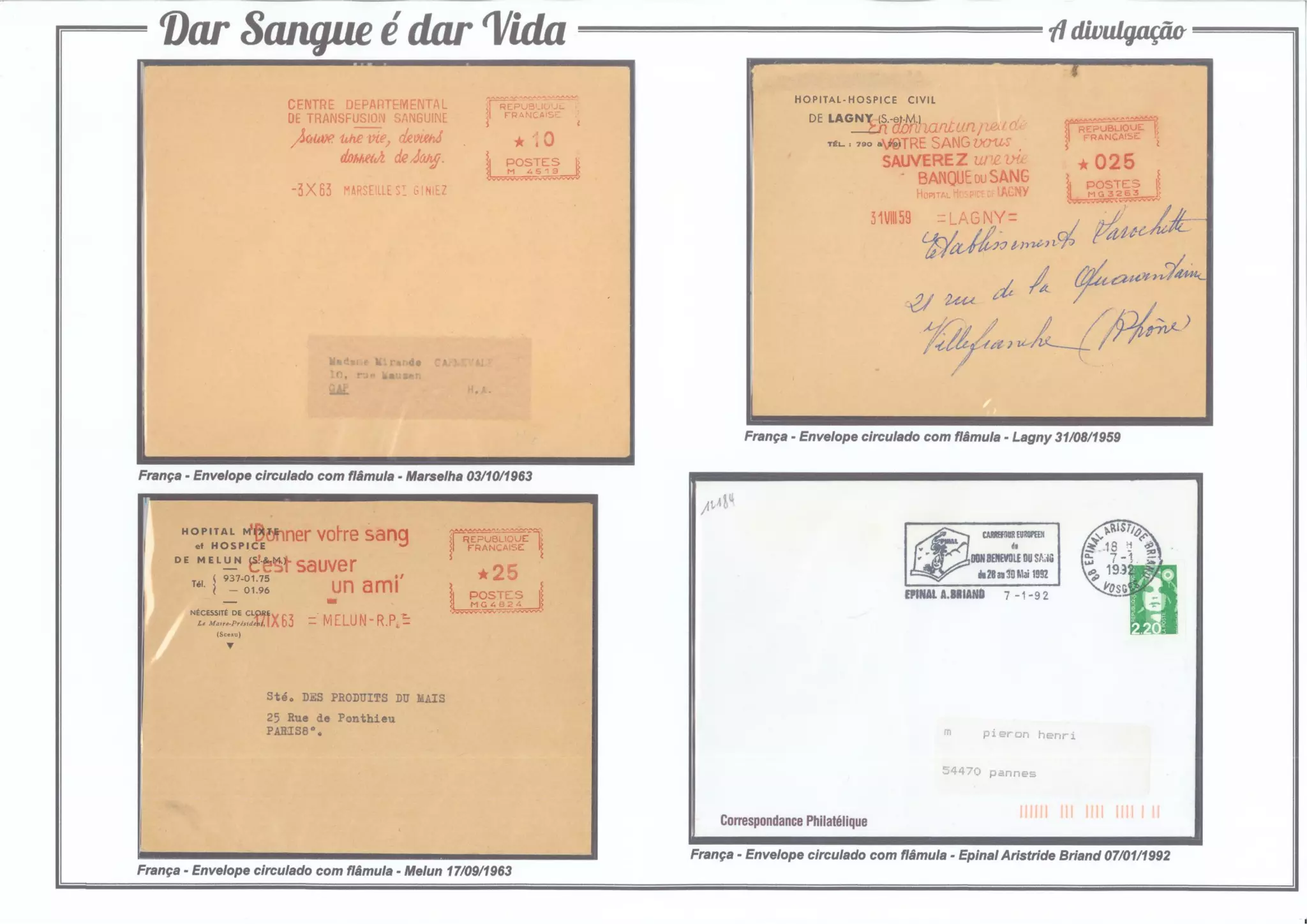 4 - Dar Sangue é dar Vida (A divulgação)