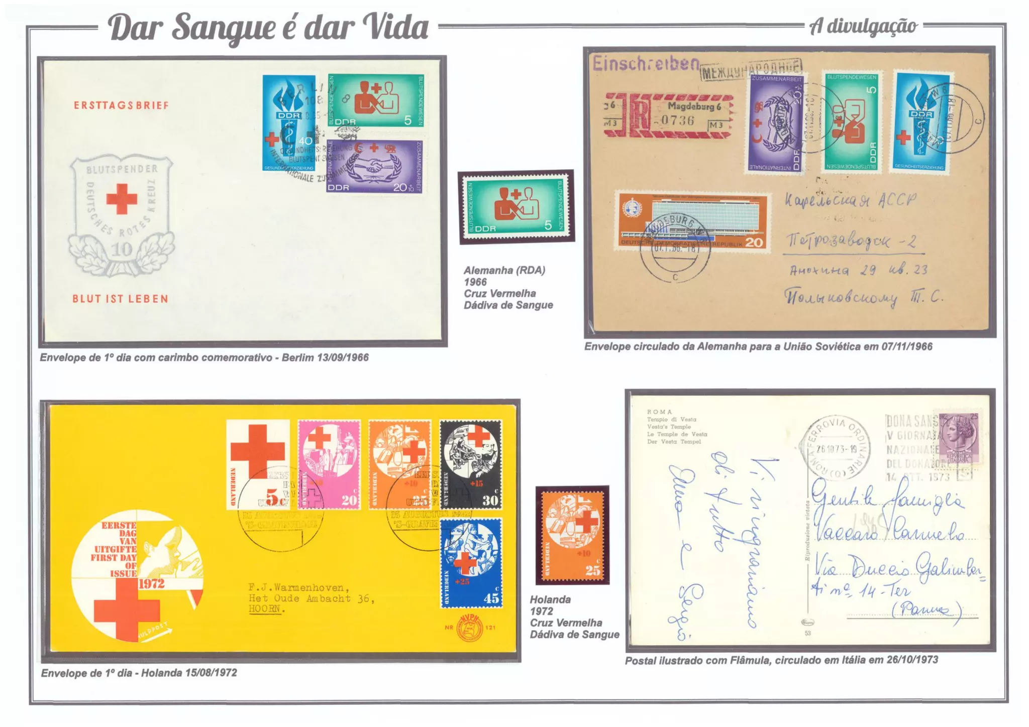 4 - Dar Sangue é dar Vida (A divulgação)