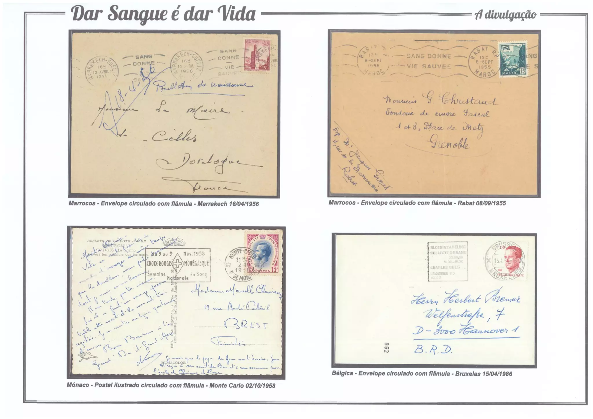 4 - Dar Sangue é dar Vida (A divulgação)