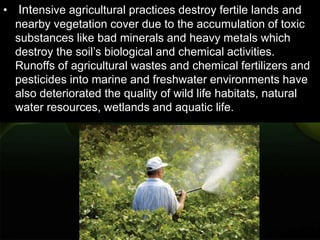 • Intensive agricultural practices destroy fertile lands and
nearby vegetation cover due to the accumulation of toxic
substances like bad minerals and heavy metals which
destroy the soil’s biological and chemical activities.
Runoffs of agricultural wastes and chemical fertilizers and
pesticides into marine and freshwater environments have
also deteriorated the quality of wild life habitats, natural
water resources, wetlands and aquatic life.
 
