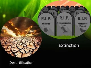 Extinction
Desertification
 