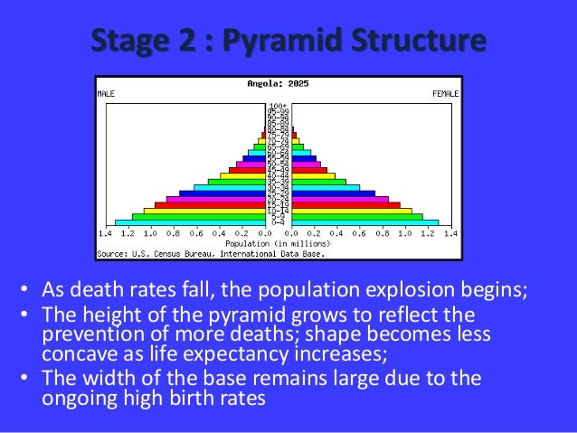 4 Demographic Transition Model