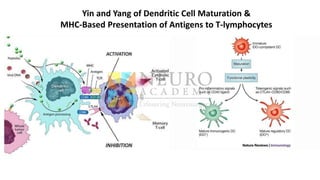 Yin and Yang of Dendritic Cell Maturation &
MHC-Based Presentation of Antigens to T-lymphocytes
 