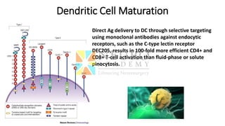 Dendritic Cell Maturation
Direct Ag delivery to DC through selective targeting
using monoclonal antibodies against endocytic
receptors, such as the C-type lectin receptor
DEC205, results in 100-fold more efficient CD4+ and
CD8+ T-cell activation than fluid-phase or solute
pinocytosis.
 
