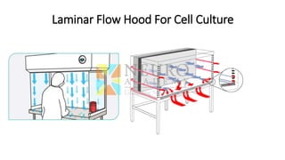 Laminar Flow Hood For Cell Culture
 
