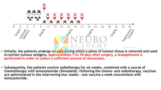 • Initially, the patients undergo surgery during which a piece of tumour tissue is removed and used
to extract tumour antigens. Approximately 7 to 10 days after surgery, a leukapheresis is
performed in order to collect a sufficient amount of monocytes.
• Subsequently, the patients receive radiotherapy for six weeks, combined with a course of
chemotherapy with temozolomide (Temodal®). Following the chemo- and radiotherapy, vaccines
are administered in the intervening four weeks – one vaccine a week concomitant with
temozolomide.
 